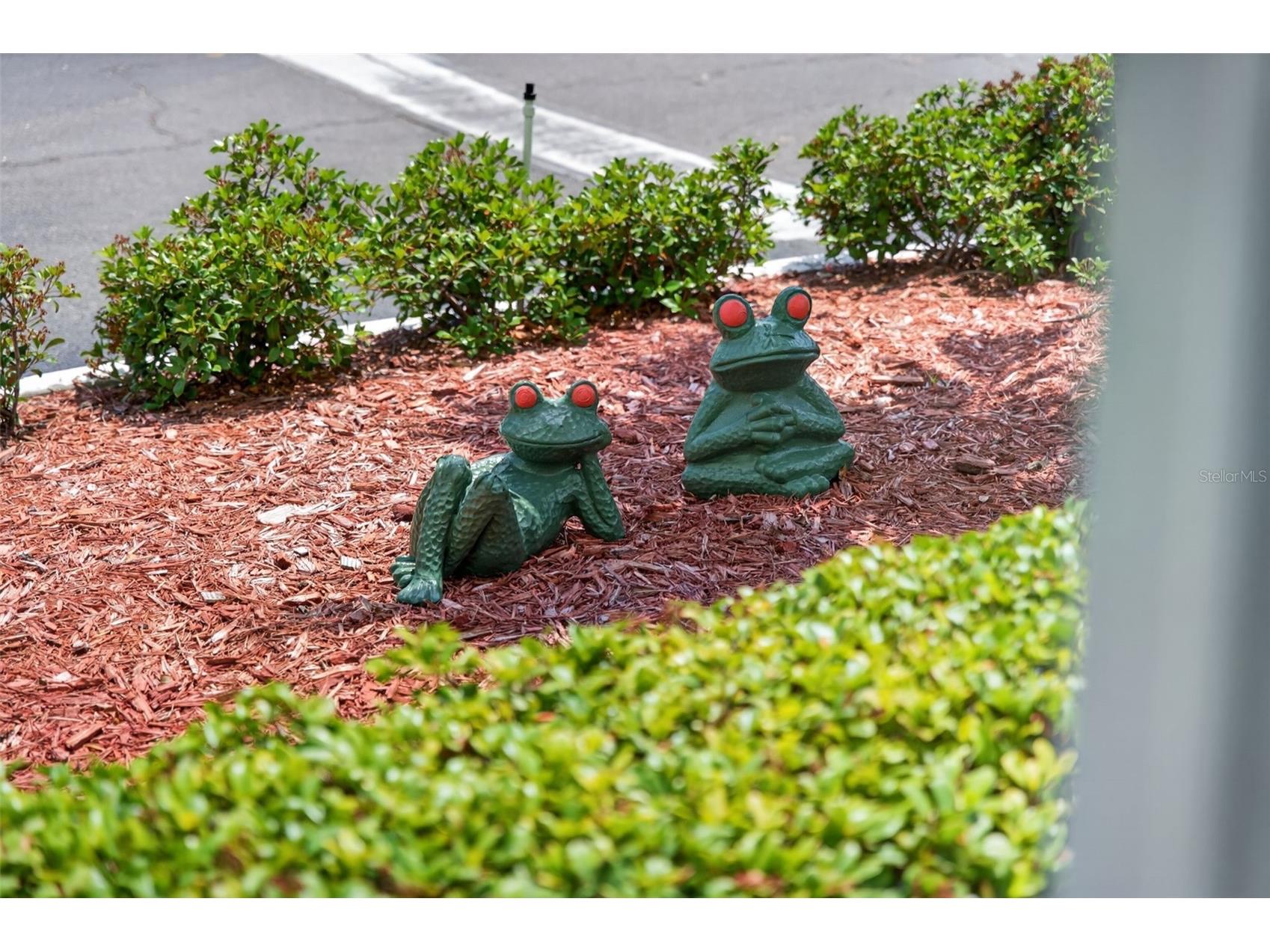 5935 30th Avenue S #101 Gulfport FL 33707 TB8504994 image6
