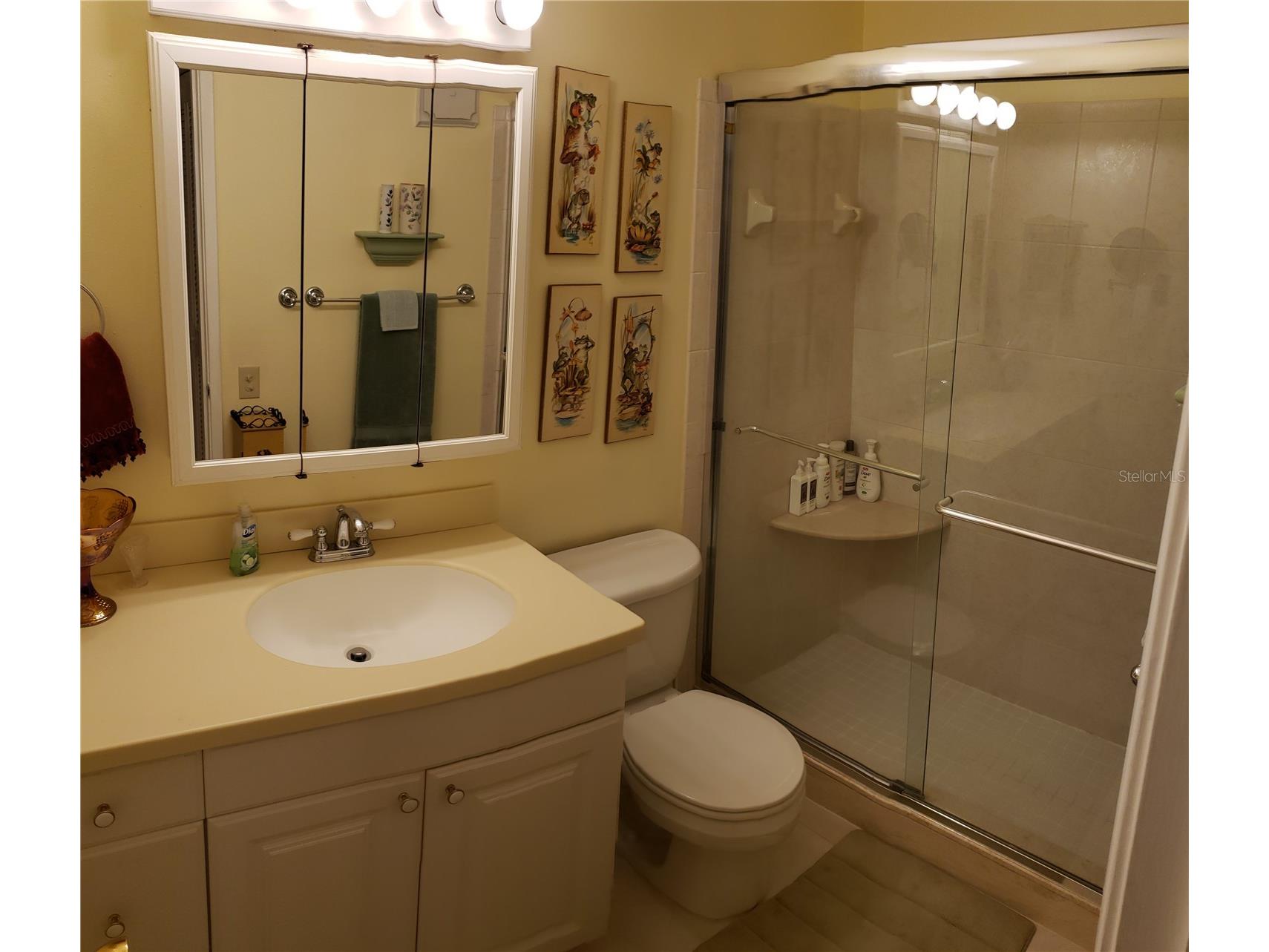 5935 30th Avenue S #307 Gulfport FL 33707 - BOCA CIEGA BAY TB8488948 image10
