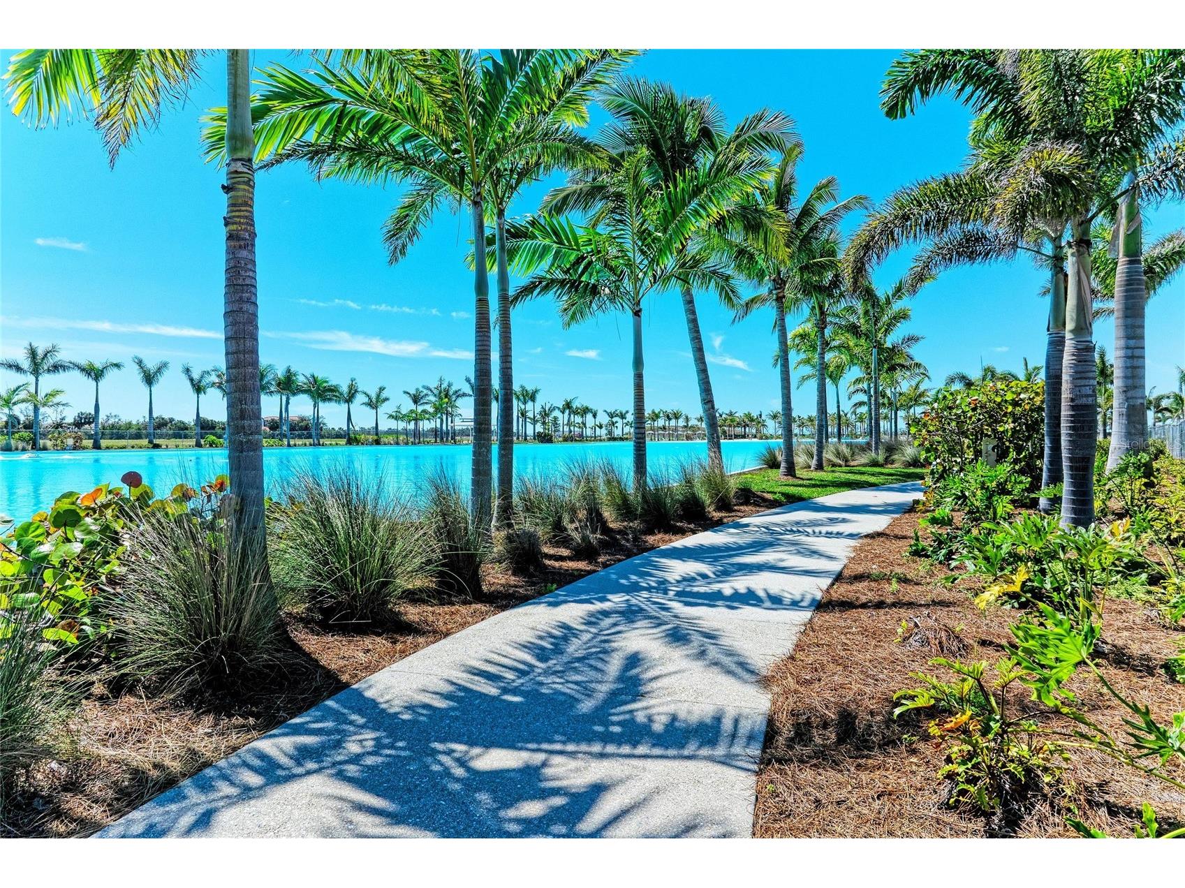 5935 Cat Claw Lane Bradenton FL 34210 A4697003 image80