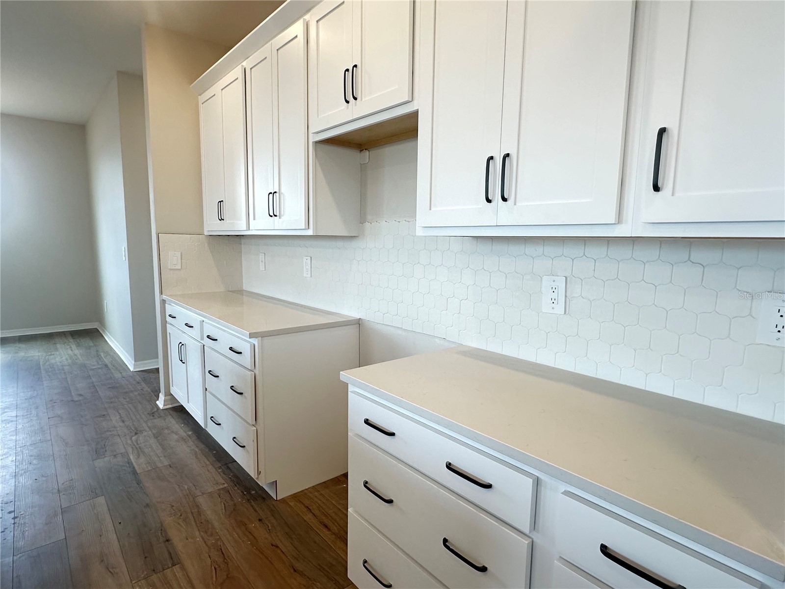 5935 Fresh Flora Drive Wimauma FL 33598 TB8480788 image25