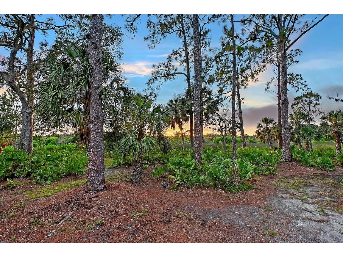 5935 River Forest Circle Bradenton FL 34203 - BRADEN RIVER/WILLIAMS CREEK A4655452 image61