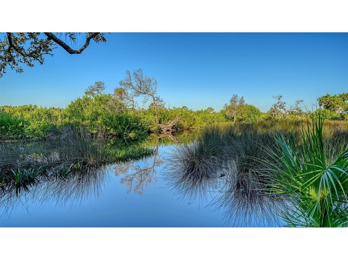 5935 River Forest Circle Bradenton FL 34203 - BRADEN RIVER/WILLIAMS CREEK A4655452 image73