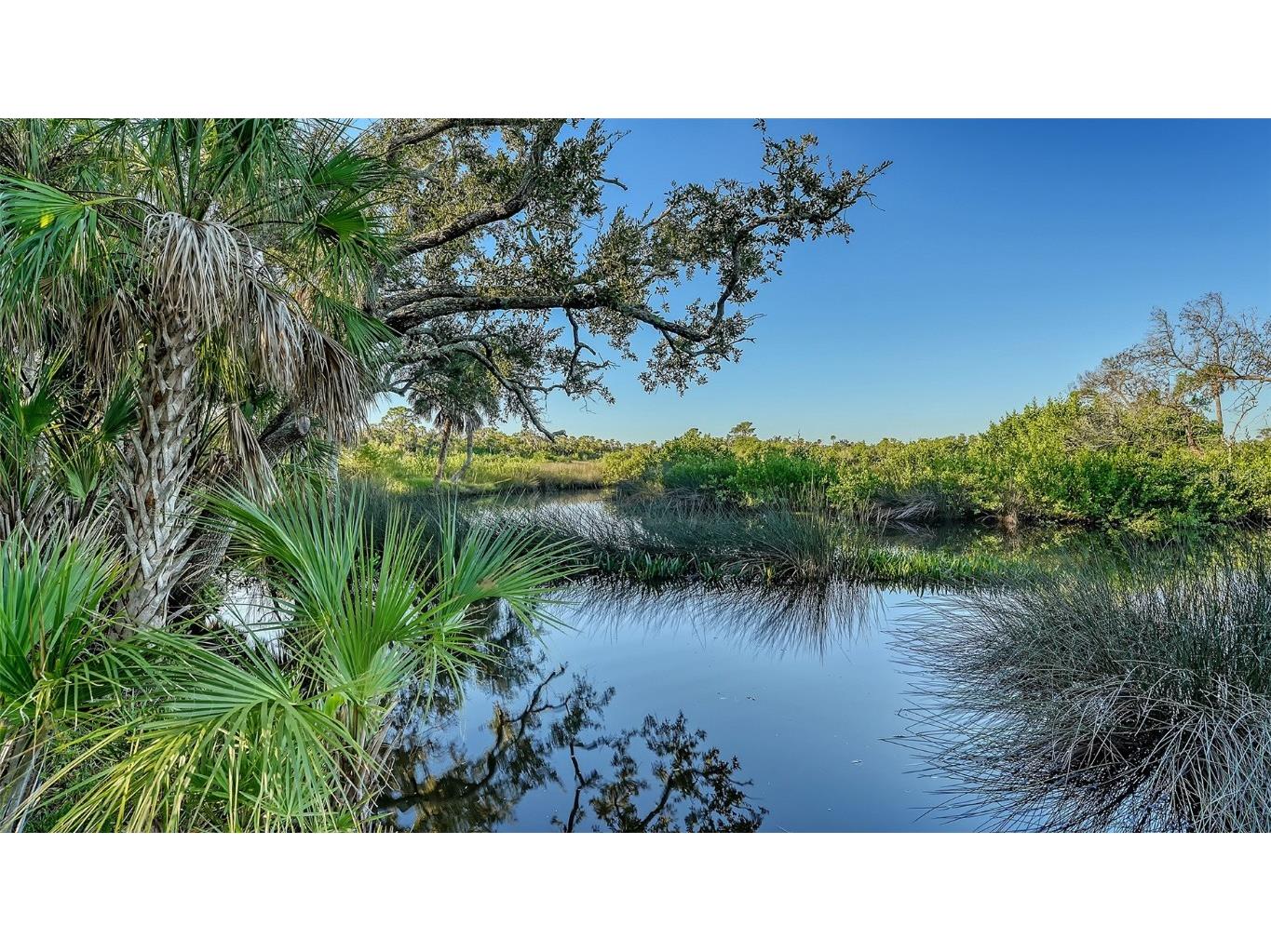 5935 River Forest Circle Bradenton FL 34203 - BRADEN RIVER/WILLIAMS CREEK A4655452 image74