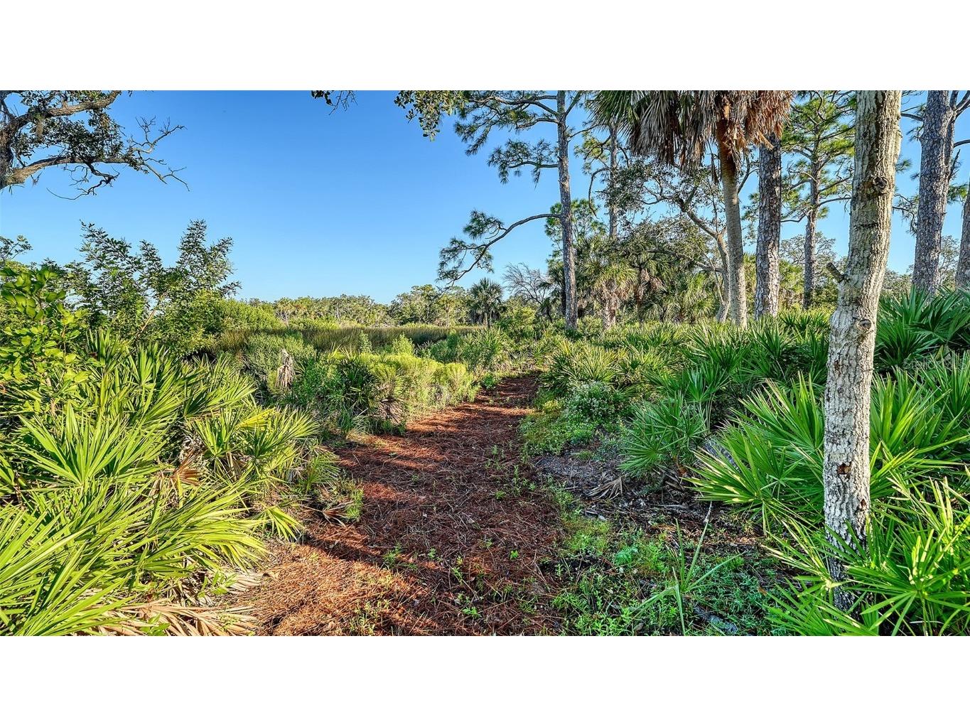 5935 River Forest Circle Bradenton FL 34203 - BRADEN RIVER/WILLIAMS CREEK A4655452 image76