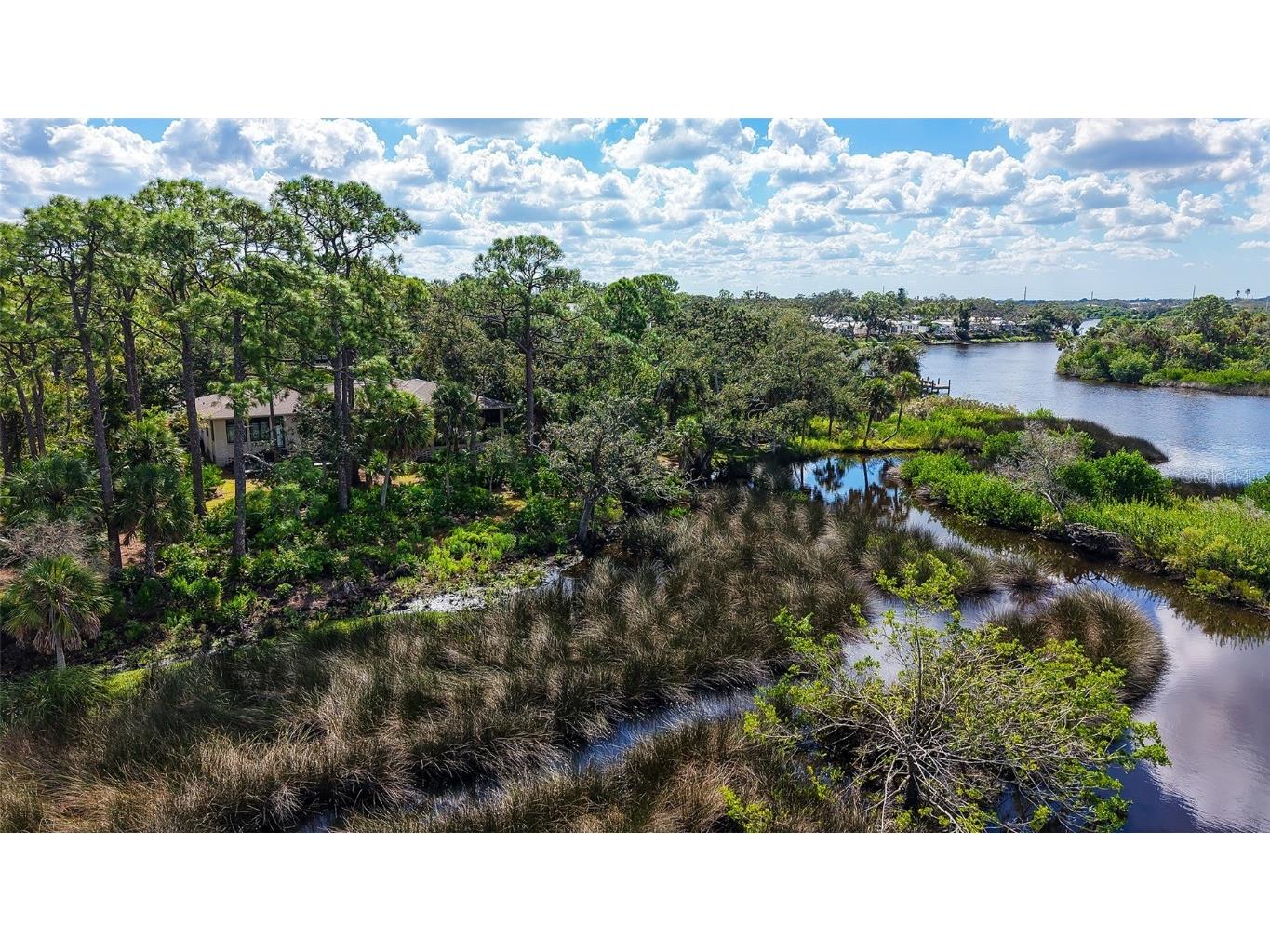 5935 River Forest Circle Bradenton FL 34203 - BRADEN RIVER/WILLIAMS CREEK A4655452 image81