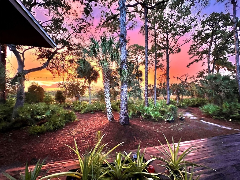 5935 River Forest Circle Bradenton FL 34203 - BRADEN RIVER/WILLIAMS CREEK A4655452 image84