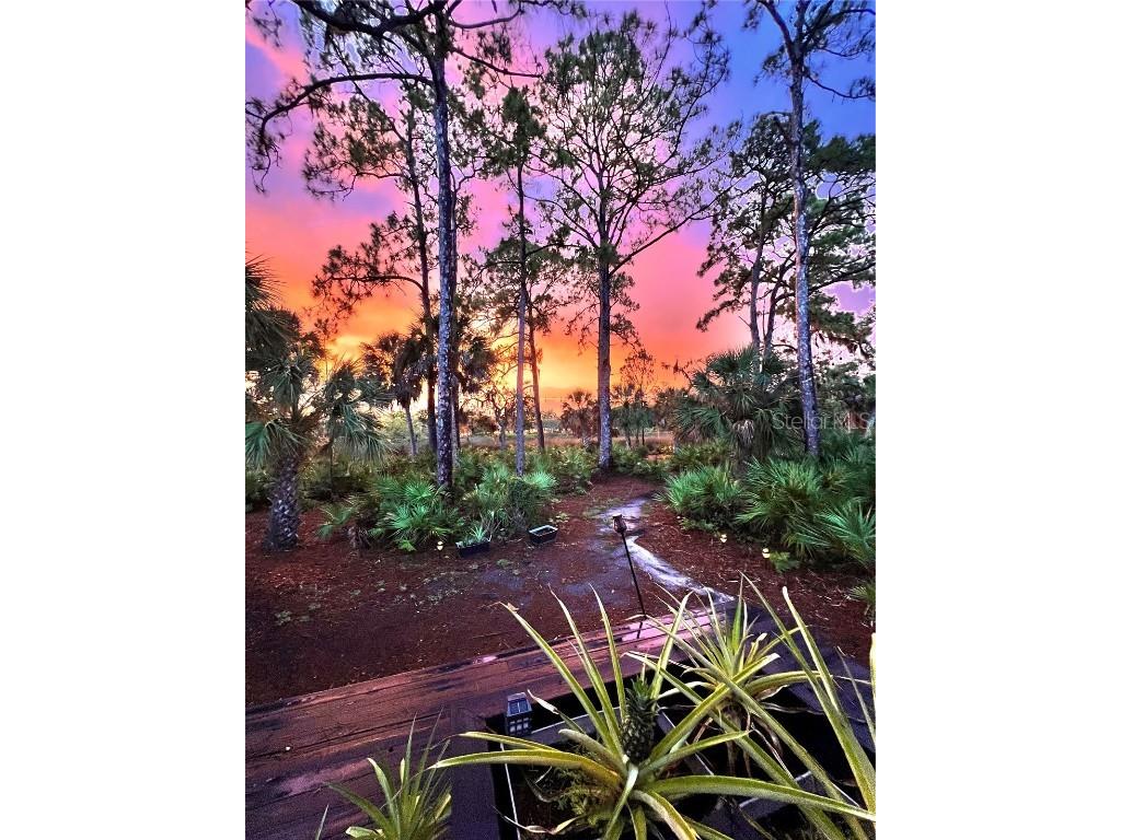 5935 River Forest Circle Bradenton FL 34203 - BRADEN RIVER/WILLIAMS CREEK A4655452 image85