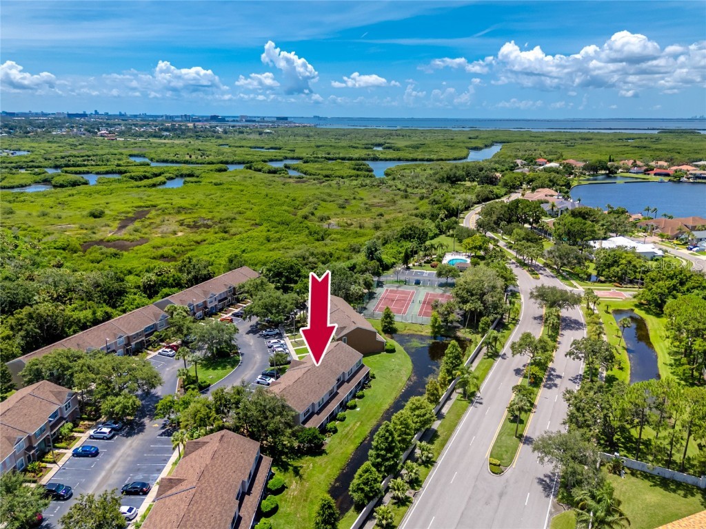 5936 Bayside Key Drive Tampa FL 33615 TB8404834 image39