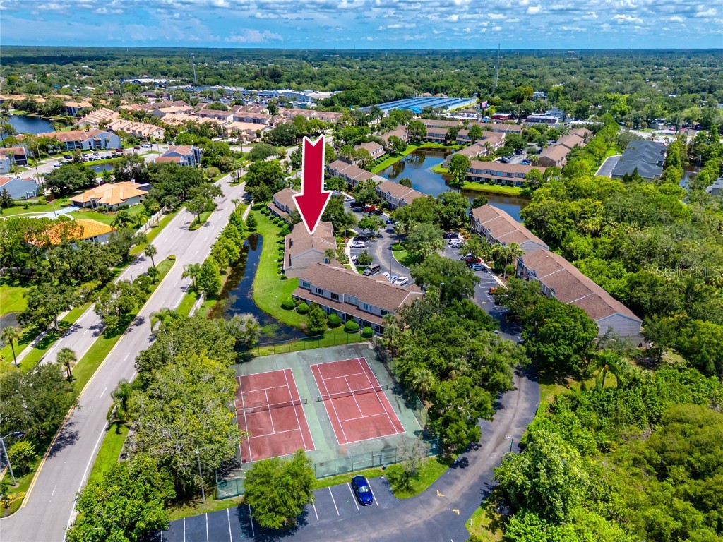 5936 Bayside Key Drive Tampa FL 33615 TB8404834 image41