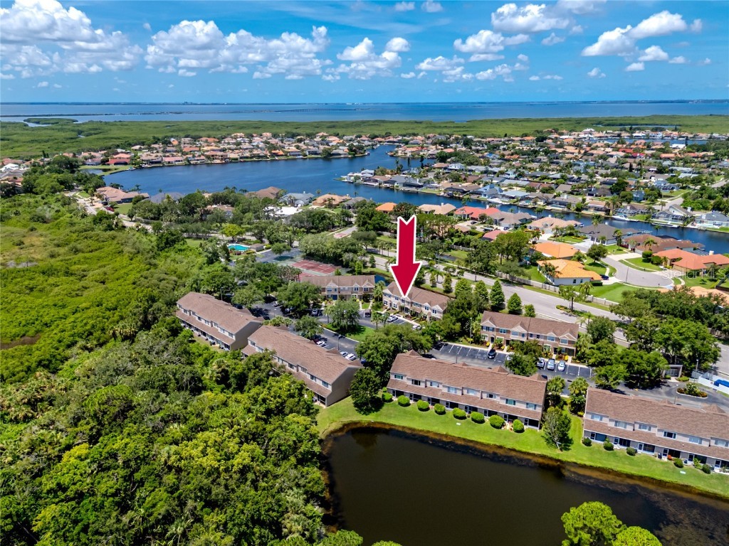 5936 Bayside Key Drive Tampa FL 33615 TB8404834 image42