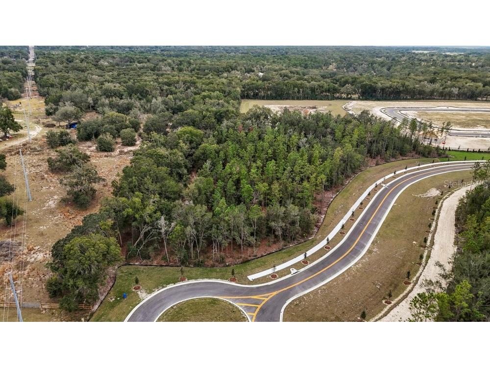 5936 Stoneybrook Hills Parkway Mount Dora FL 32757 O6376815 image1