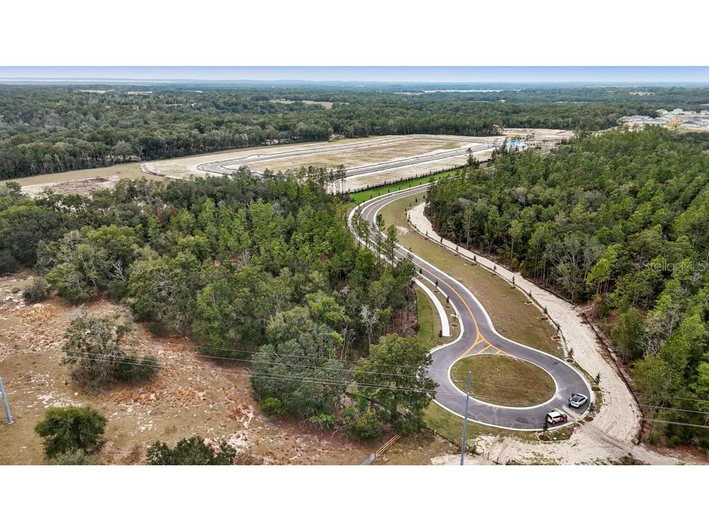 5936 Stoneybrook Hills Parkway Mount Dora FL 32757 O6376815 image2