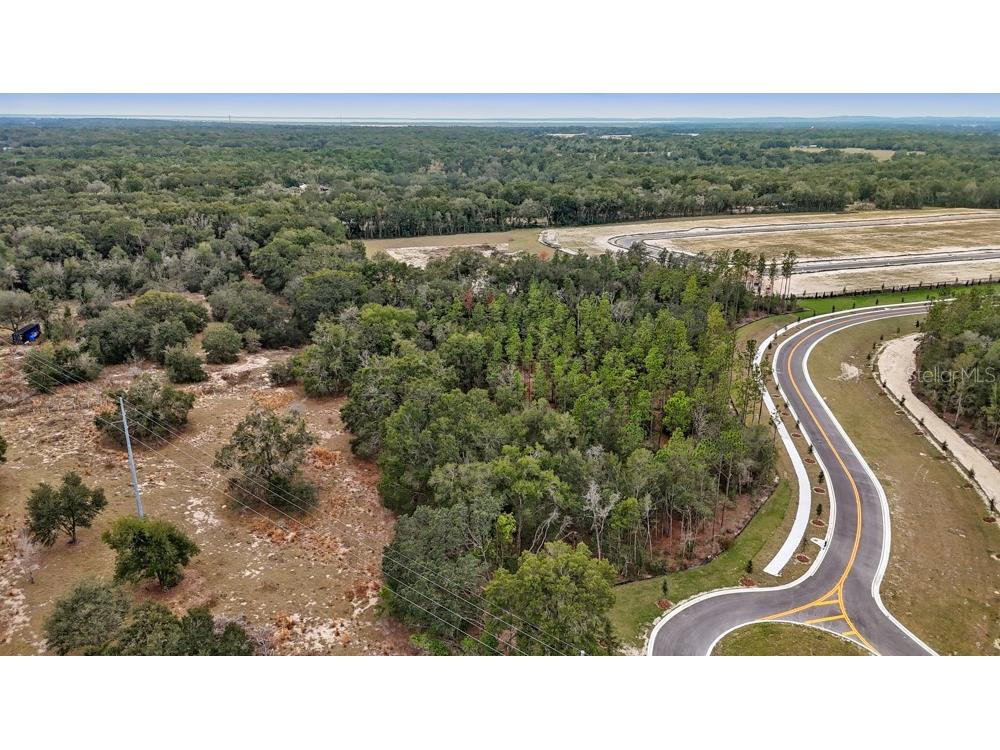 5936 Stoneybrook Hills Parkway Mount Dora FL 32757 O6376815 image3
