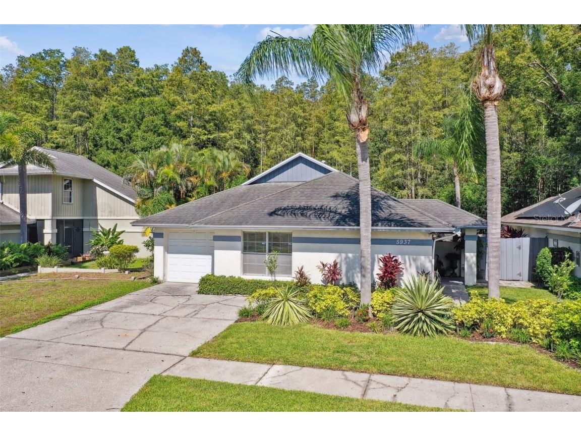 5937 Birchwood Drive Tampa FL 33625 T3548363 image1