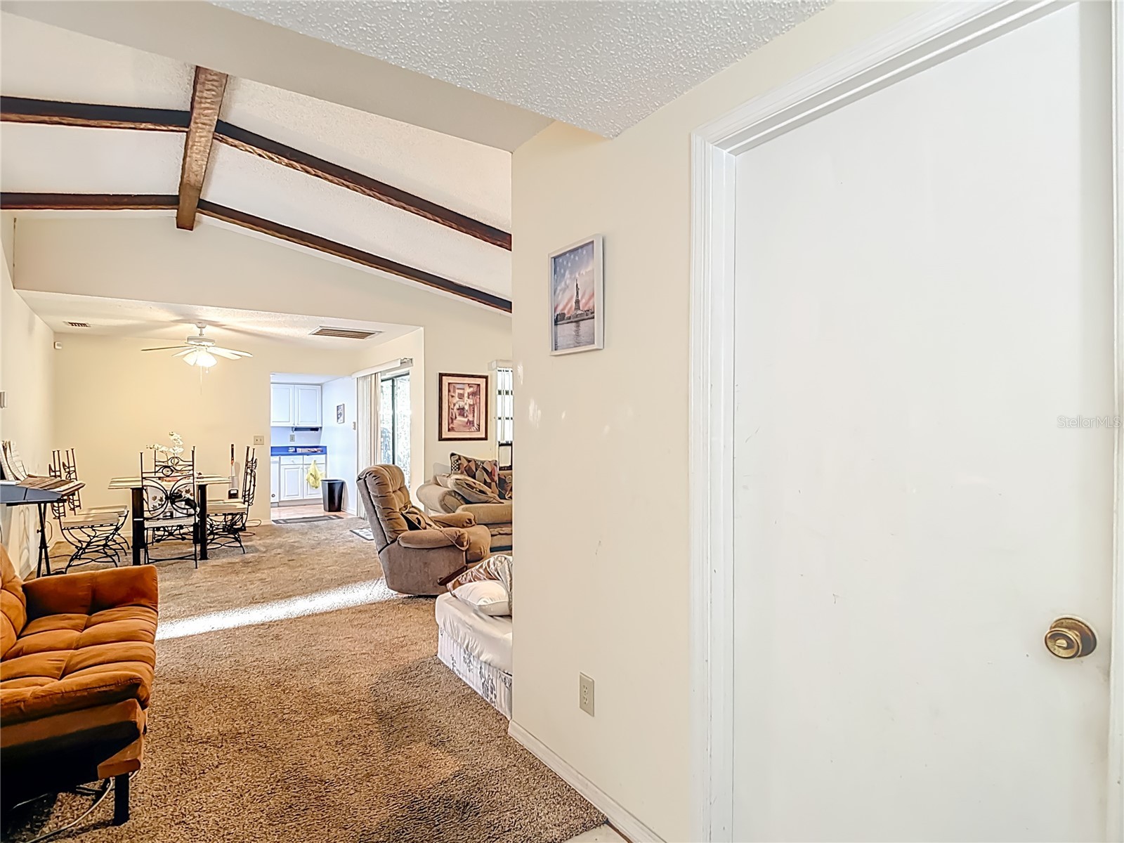 5937 Forest Lane Zephyrhills FL 33542 O6374744 image11