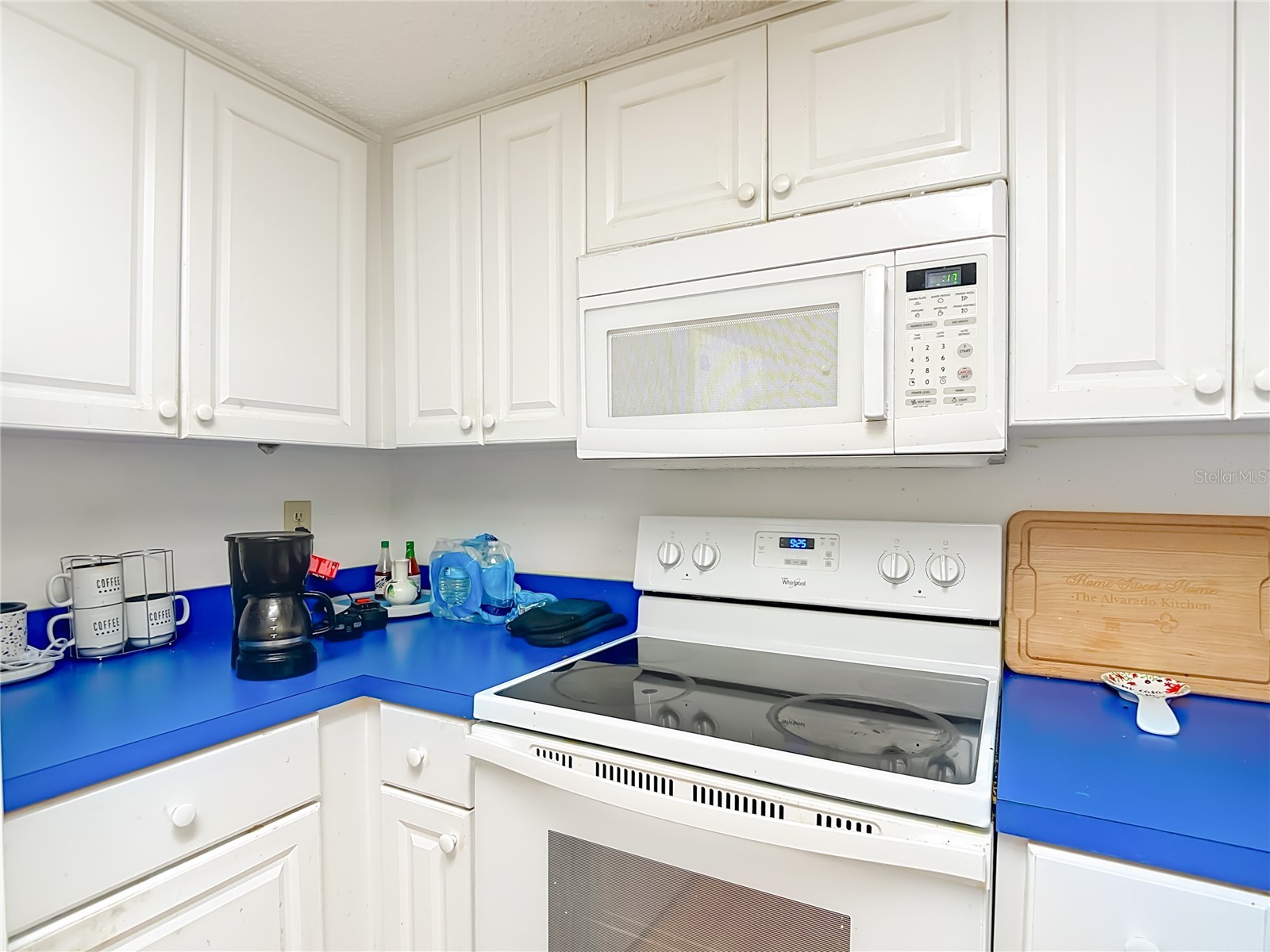 5937 Forest Lane Zephyrhills FL 33542 O6374744 image20