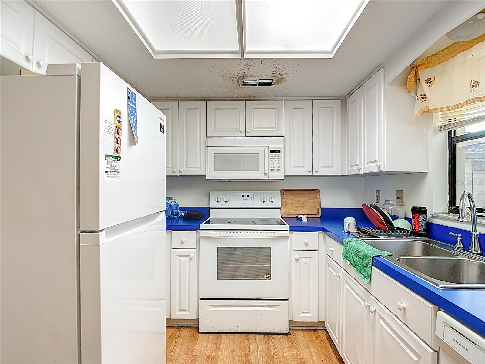 5937 Forest Lane Zephyrhills FL 33542 O6374744 image22