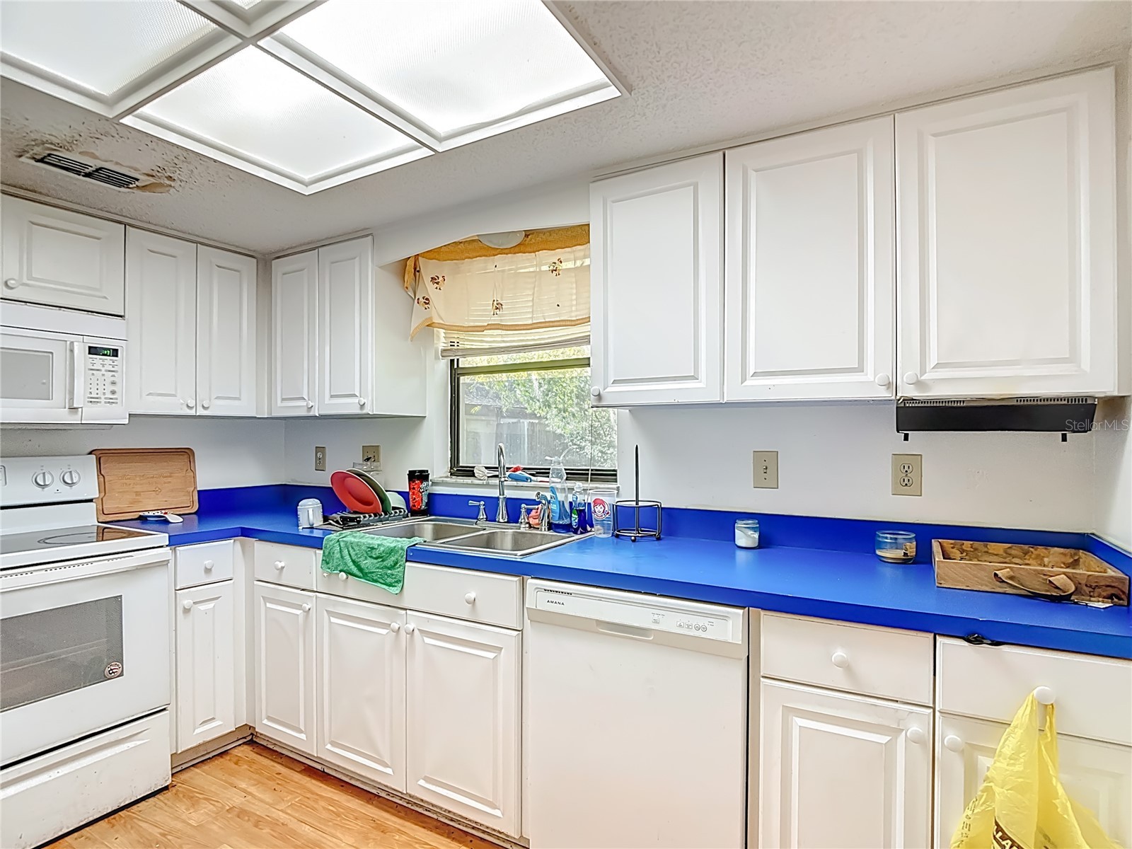 5937 Forest Lane Zephyrhills FL 33542 O6374744 image23