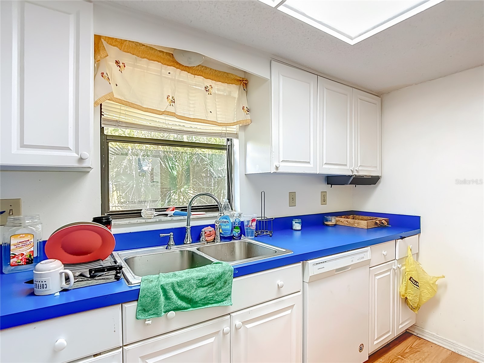 5937 Forest Lane Zephyrhills FL 33542 O6374744 image25