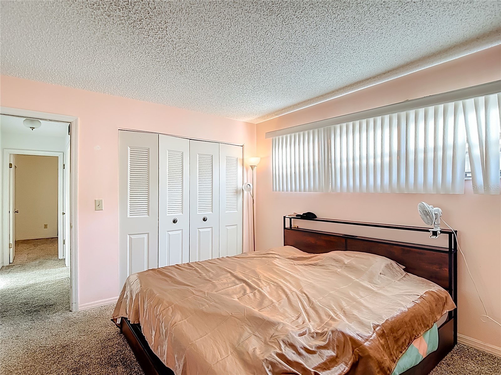 5937 Forest Lane Zephyrhills FL 33542 O6374744 image28