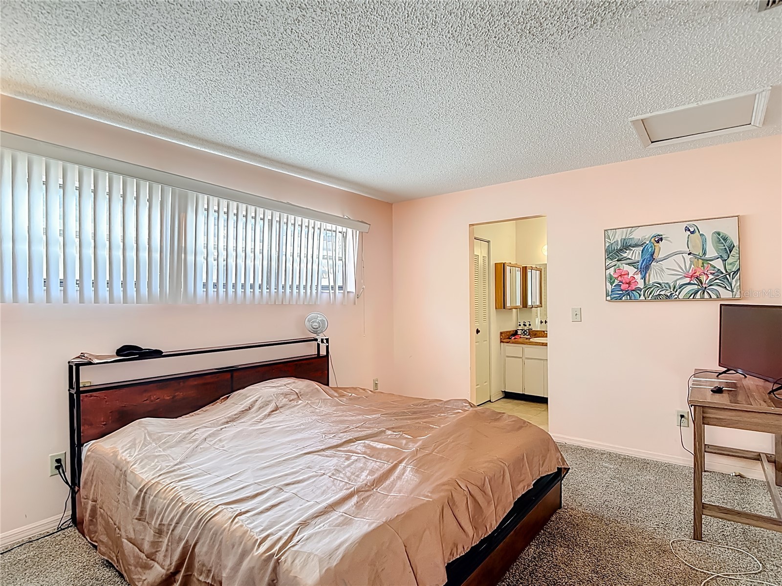 5937 Forest Lane Zephyrhills FL 33542 O6374744 image29