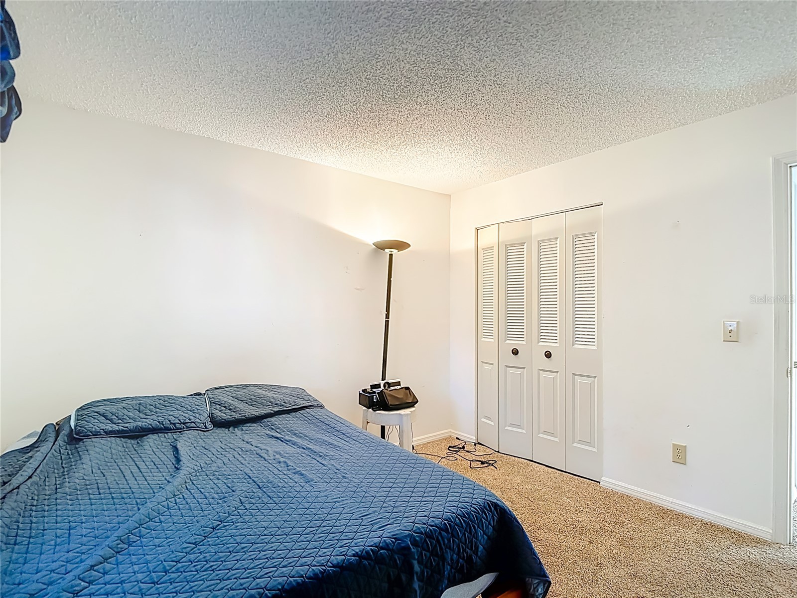 5937 Forest Lane Zephyrhills FL 33542 O6374744 image34