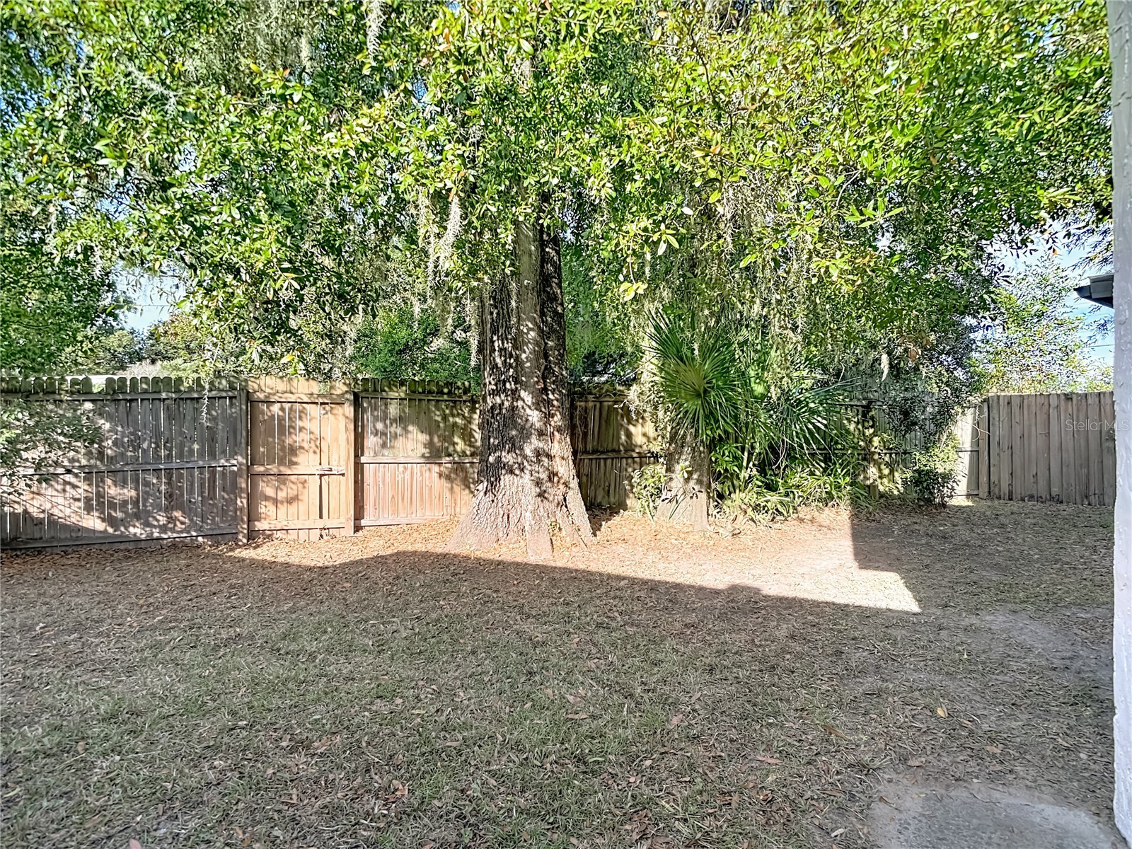 5937 Forest Lane Zephyrhills FL 33542 O6374744 image45