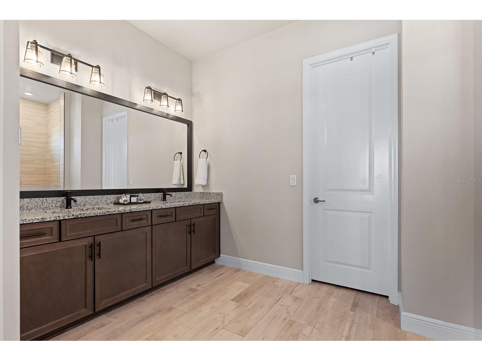 5937 Golden Nettle Drive Apollo Beach FL 33572 TB8473305 image16