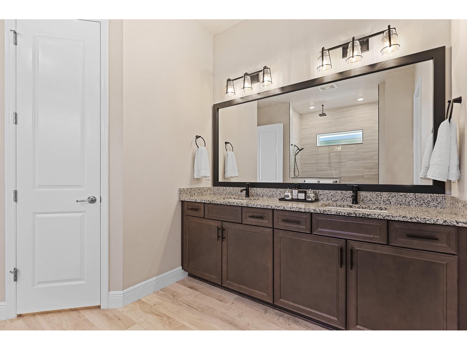 5937 Golden Nettle Drive Apollo Beach FL 33572 TB8473305 image18
