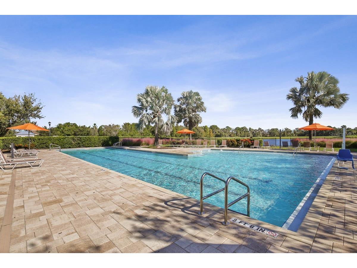 5937 Golden Nettle Drive Apollo Beach FL 33572 TB8473305 image42