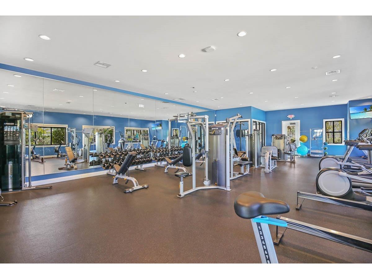 5937 Golden Nettle Drive Apollo Beach FL 33572 TB8473305 image44