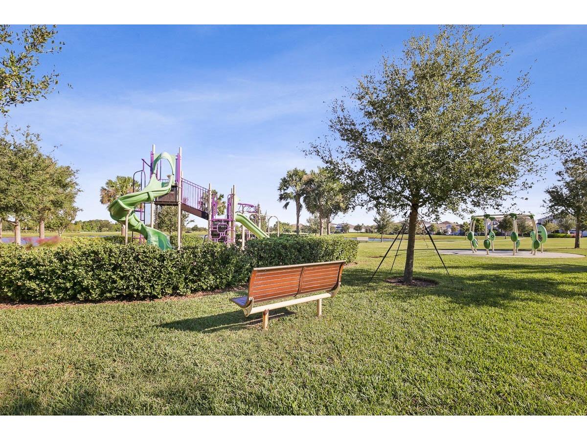 5937 Golden Nettle Drive Apollo Beach FL 33572 TB8473305 image54
