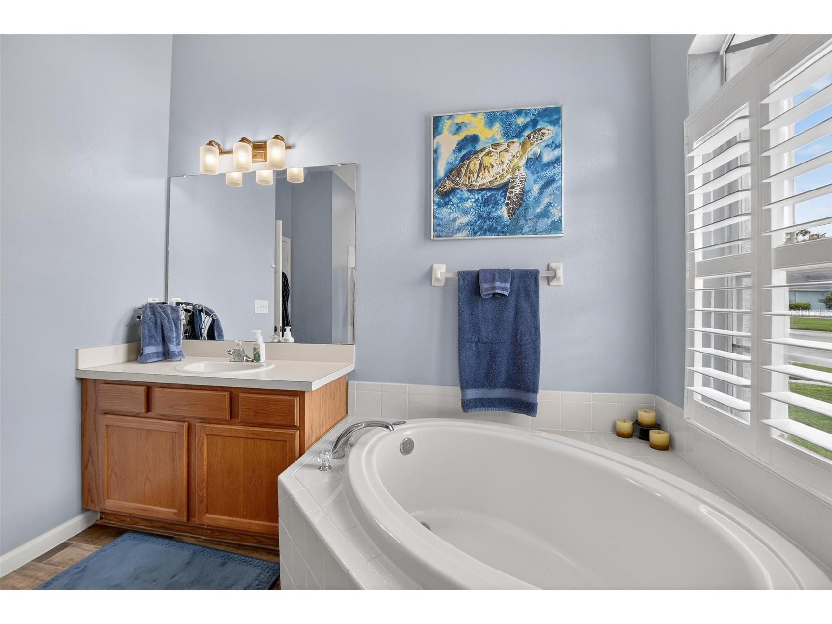 5937 Riva Ridge Drive Wesley Chapel FL 33544 TB8490411 image22