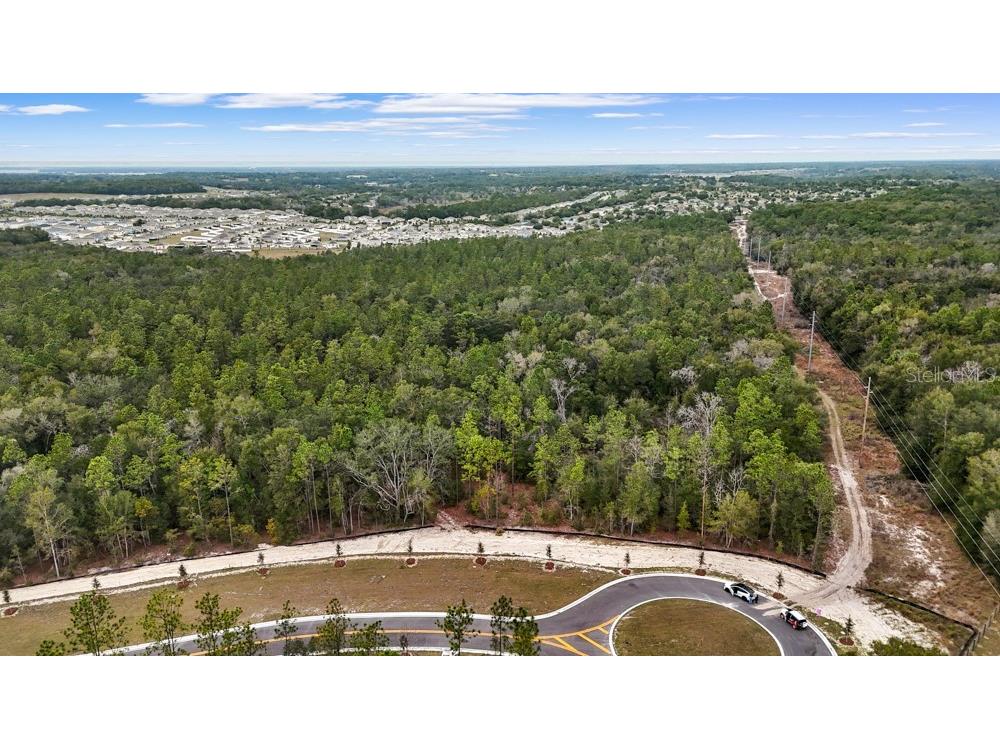 5937 Stoneybrook Hills Parkway Mount Dora FL 32757 O6376812 image2