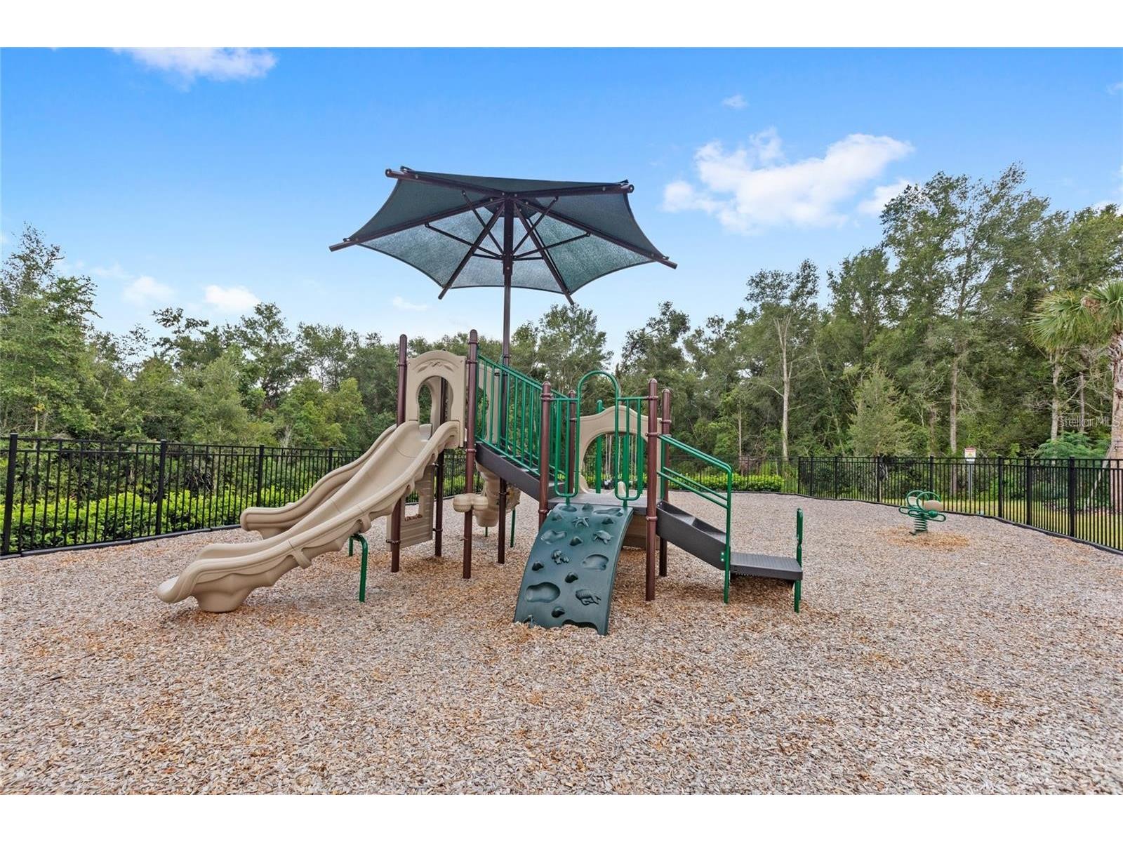 5937 Stoneybrook Hills Parkway Mount Dora FL 32757 O6376812 image7
