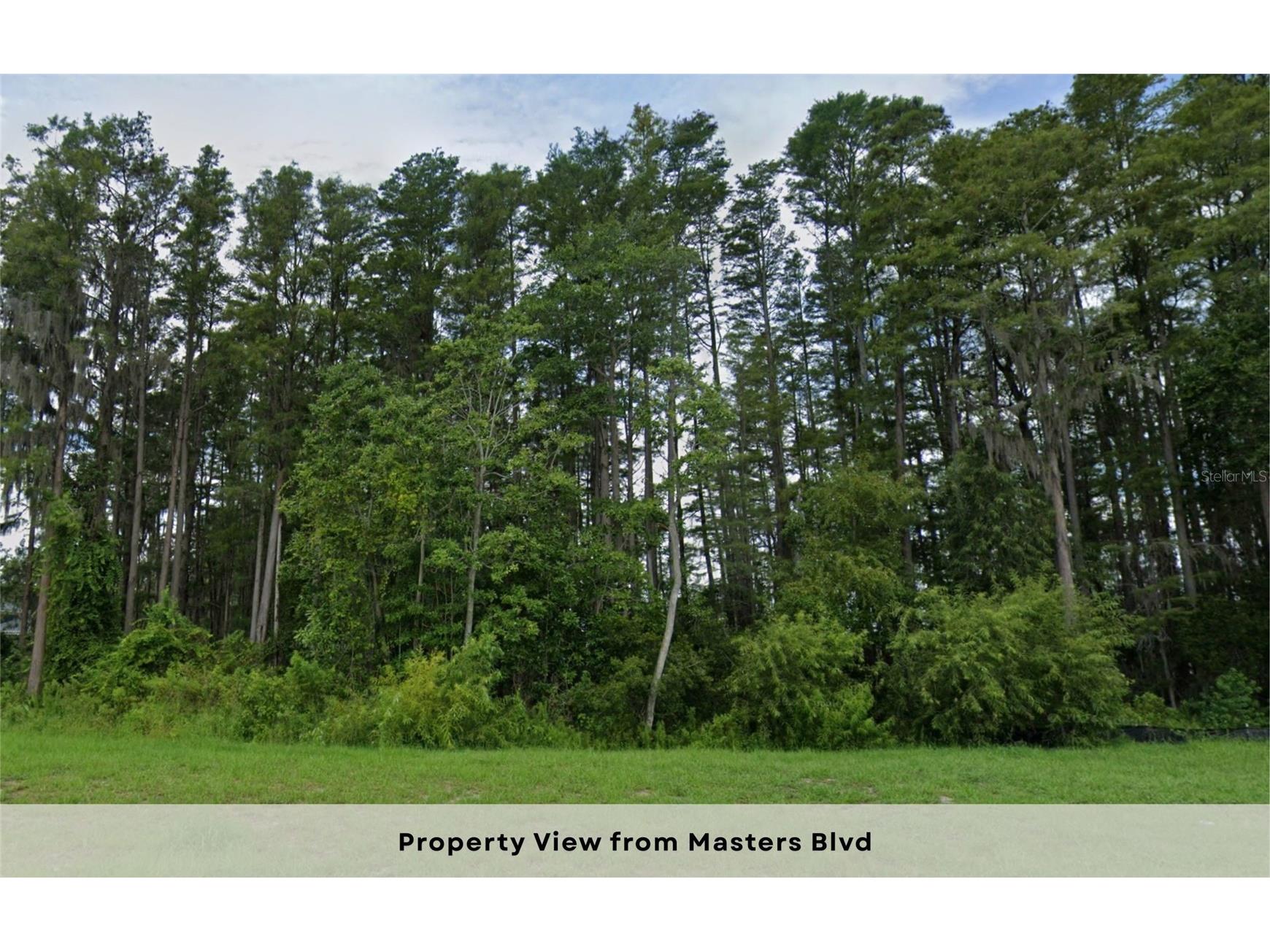 5938 Masters Boulevard Orlando FL 32819 - CHAIN-OF-LAKES OM717835 image11