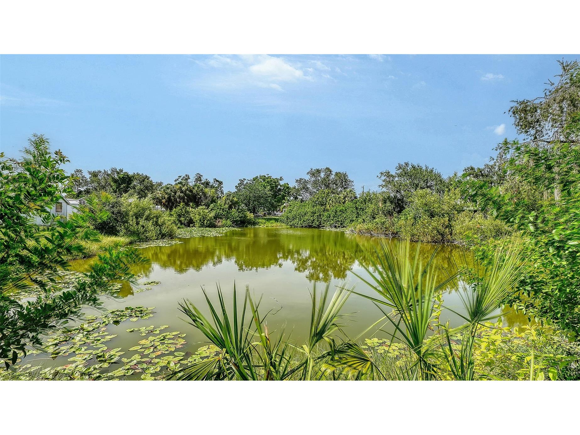 5938 Murdock Avenue Sarasota FL 34231 A4697066 image37