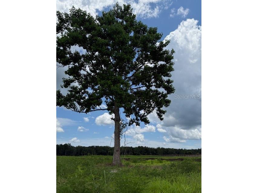 594 E County Road 90 Bunnell FL 32110 FC310869 image11