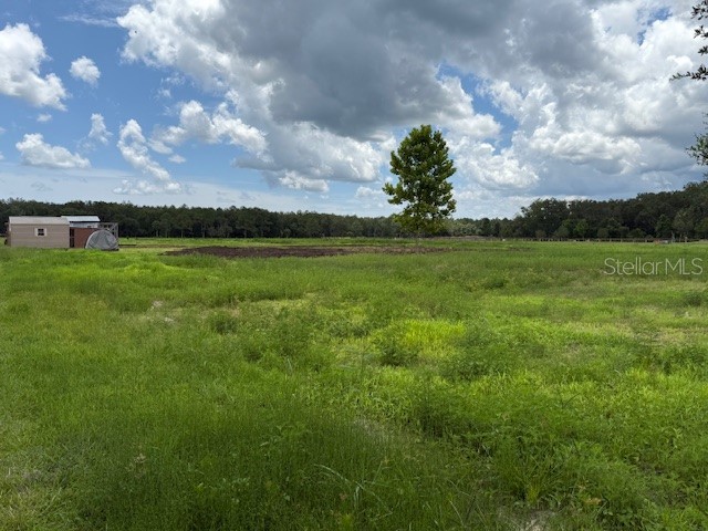 594 E County Road 90 Bunnell FL 32110 FC310869 image12