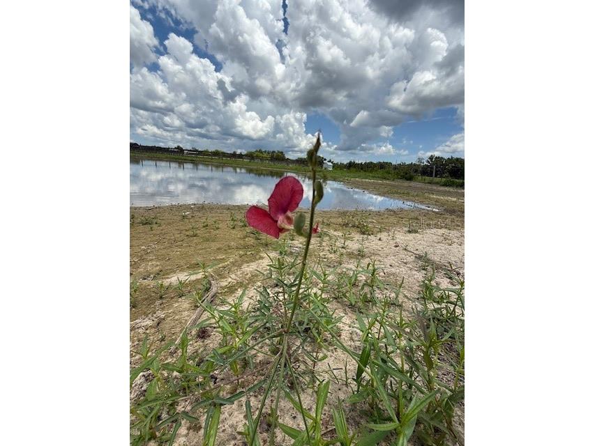 594 E County Road 90 Bunnell FL 32110 FC310869 image16