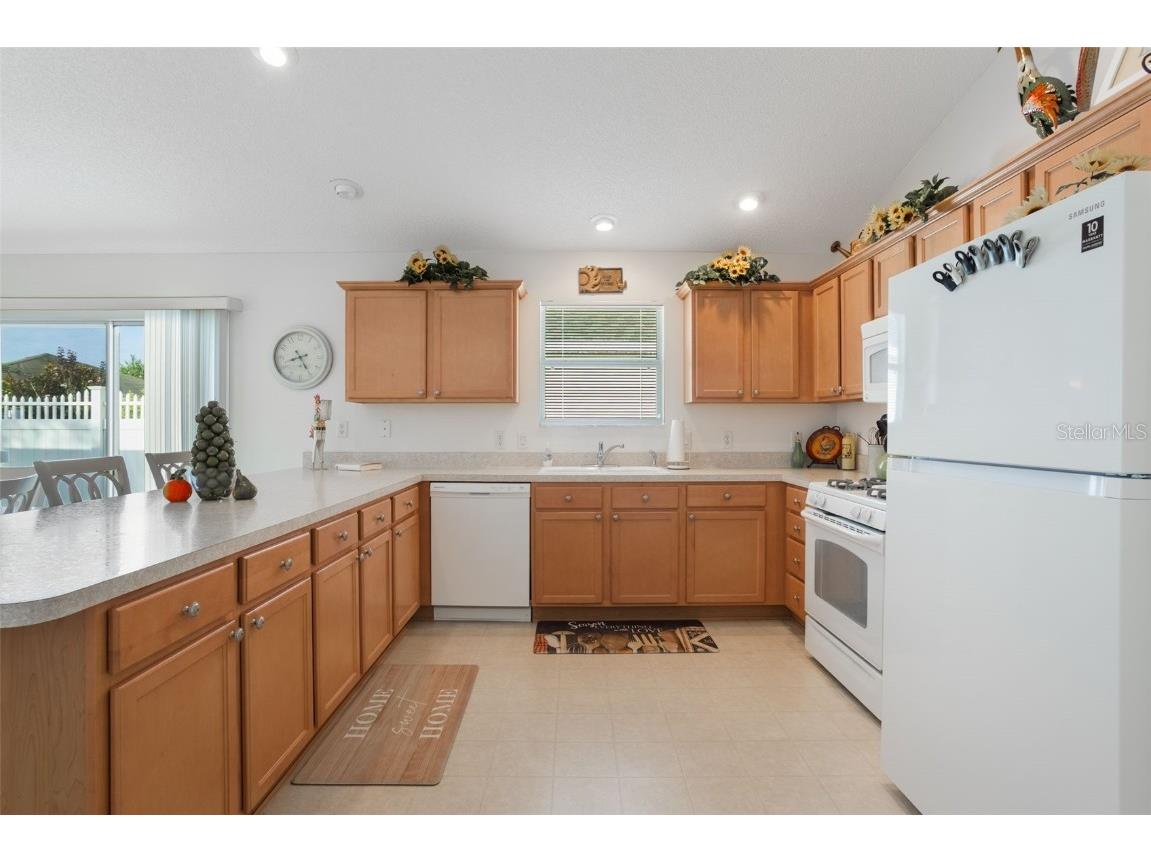 594 Lacy Place The Villages FL 32162 O6342306 image4