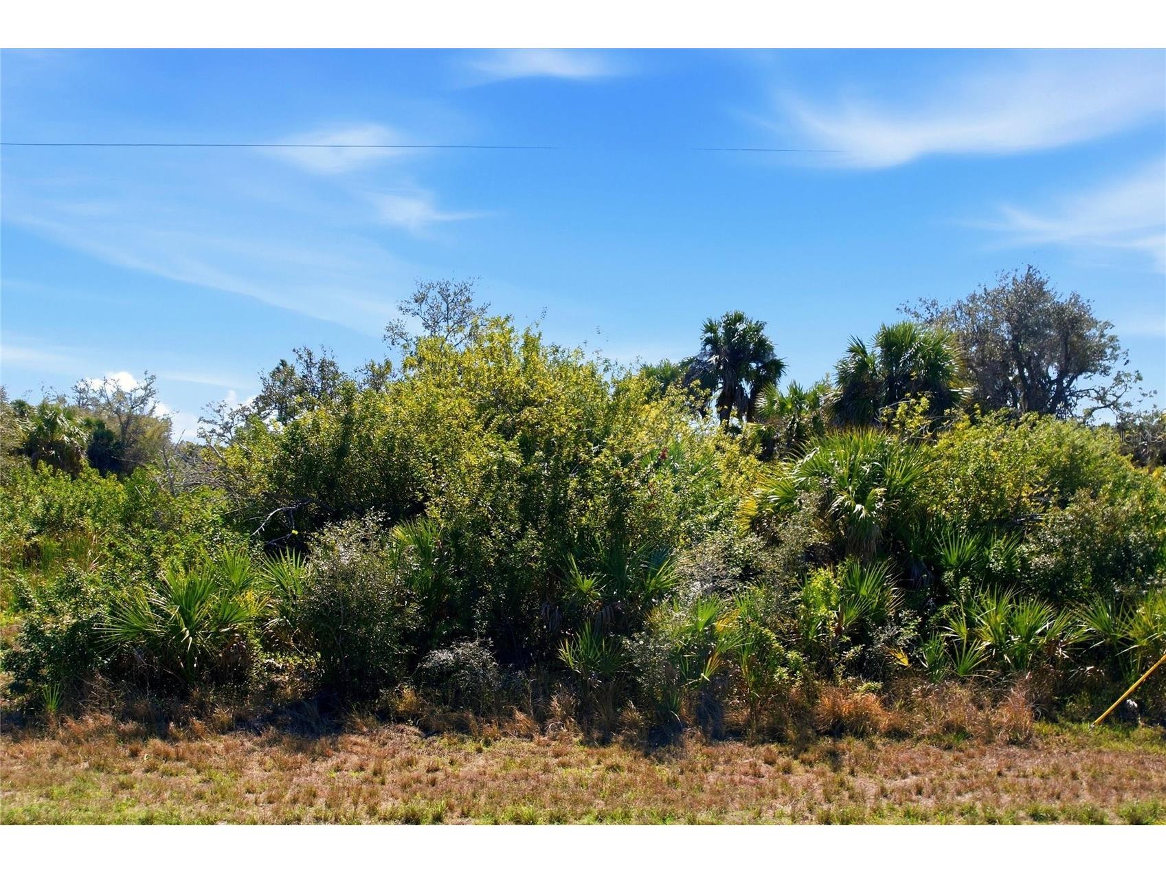 594 Mcdill Drive Port Charlotte FL 33953 TB8487148 image9