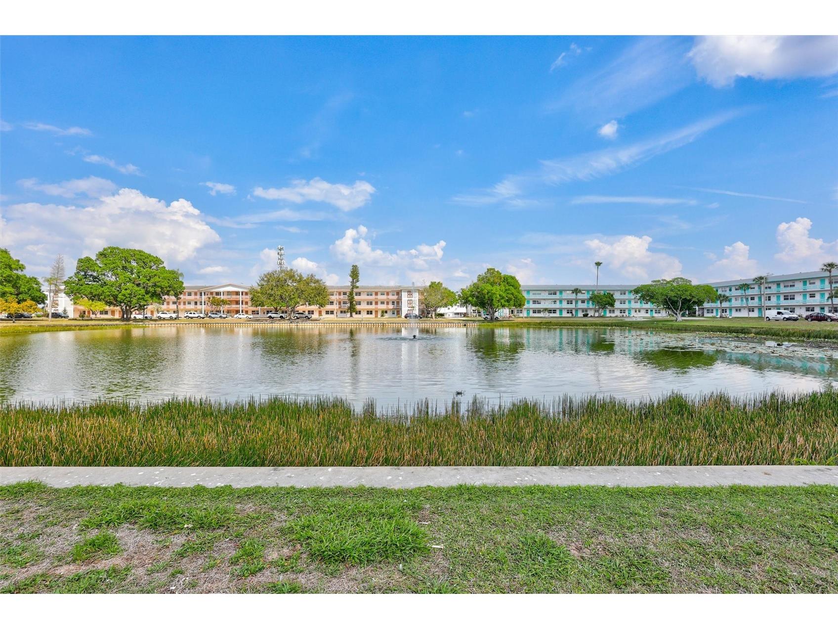 5940 21st Street N #11 Saint Petersburg FL 33714 TB8490924 image14