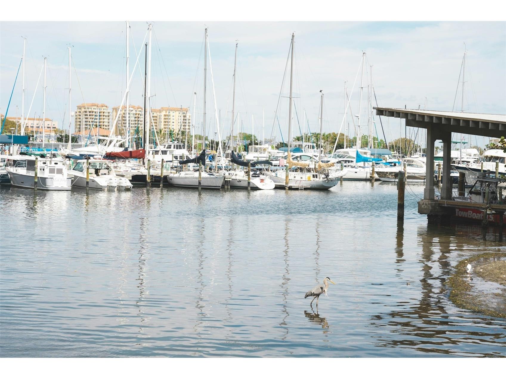 5940 21st Street N #11 Saint Petersburg FL 33714 TB8490924 image20