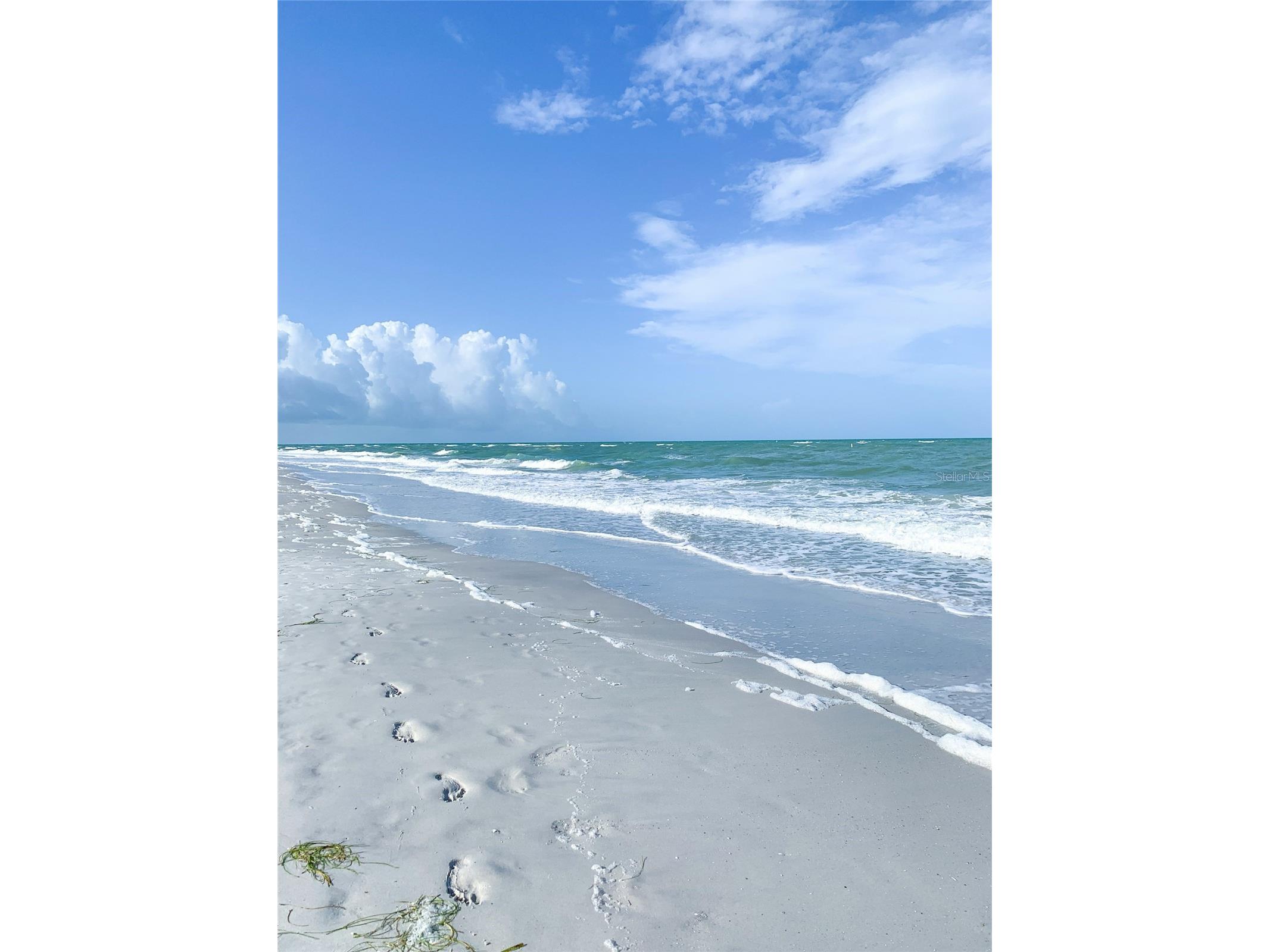 5940 21st Street N #11 Saint Petersburg FL 33714 TB8490924 image25