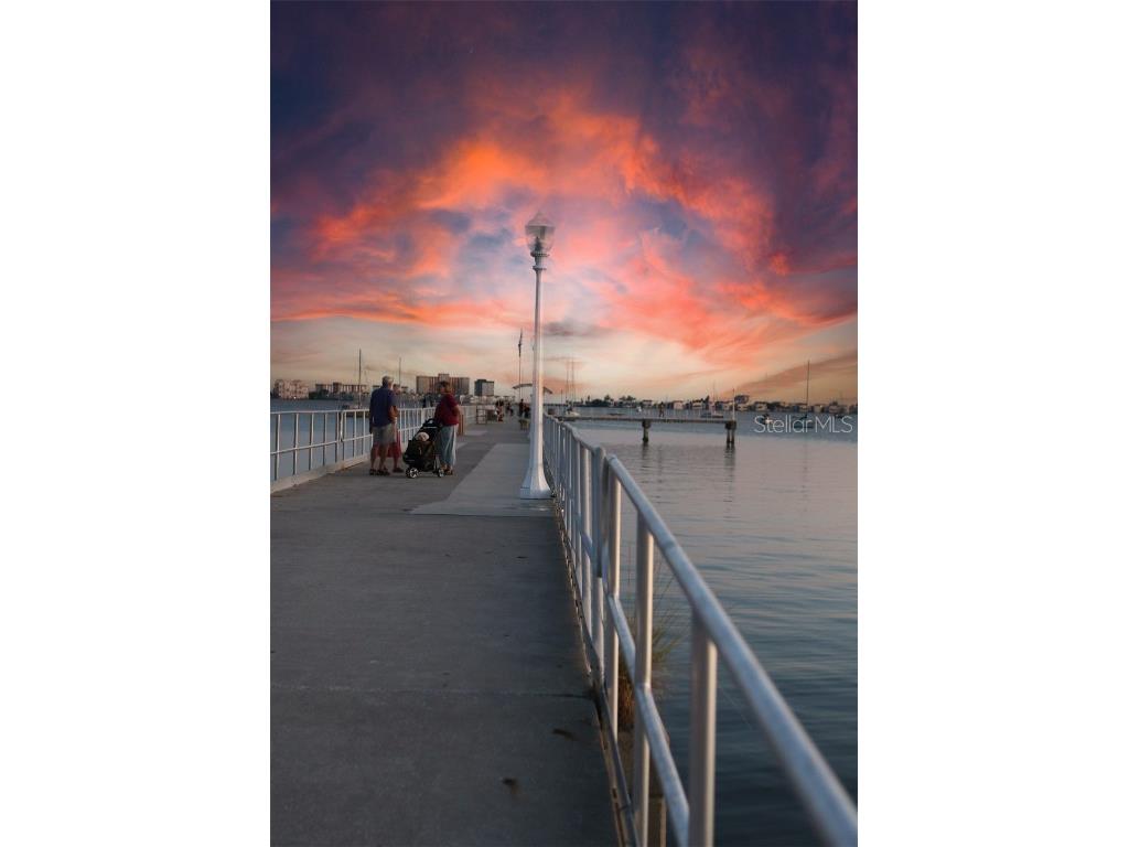 5940 30th Avenue S #209 Gulfport FL 33707 TB8455028 image12