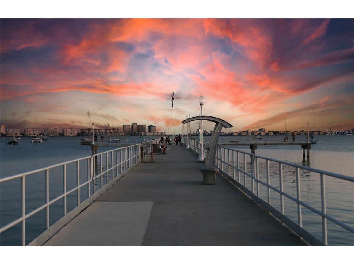 5940 30th Avenue S #209 Gulfport FL 33707 TB8455028 image13