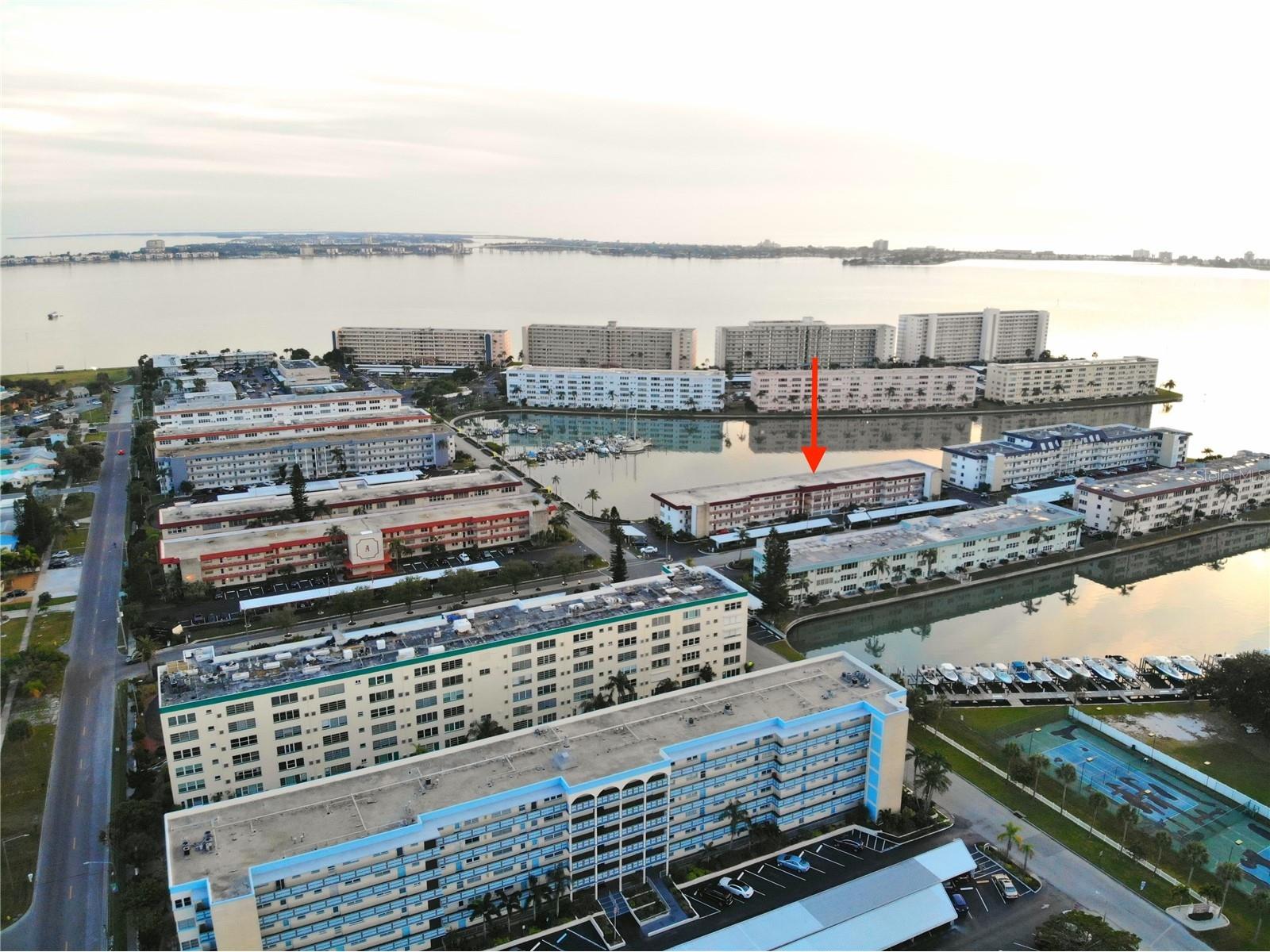 5940 30th Avenue S #303 Gulfport FL 33707 TB8506391 image2