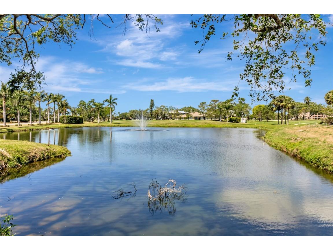 5940 Pelican Bay Plaza S #504 Gulfport FL 33707 TB8444878 image43