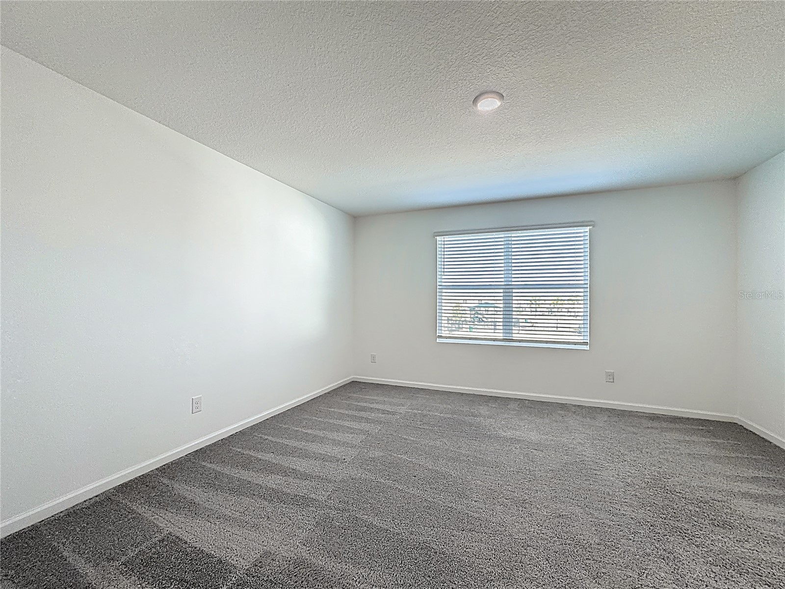 5941 Piney Shrub Place Saint Cloud FL 34771 S5140592 image13